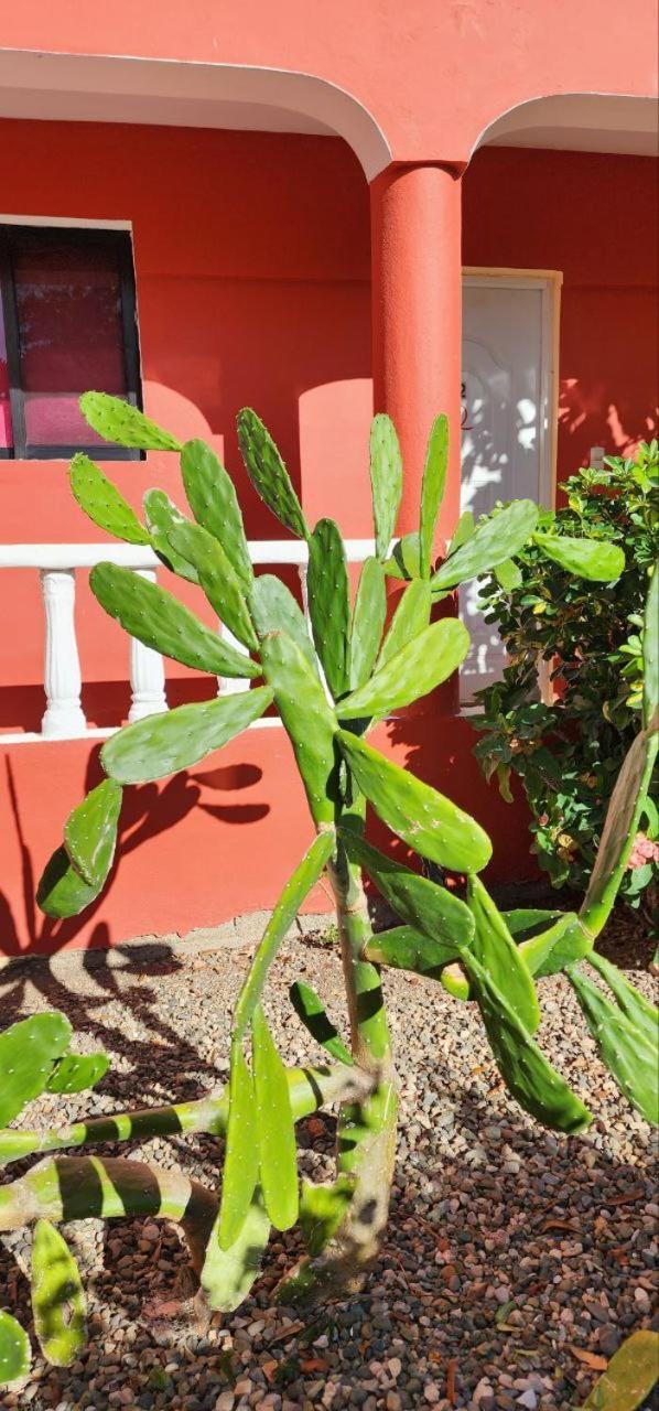 Villa Kiki Ensenada Punta Rucia Εξωτερικό φωτογραφία